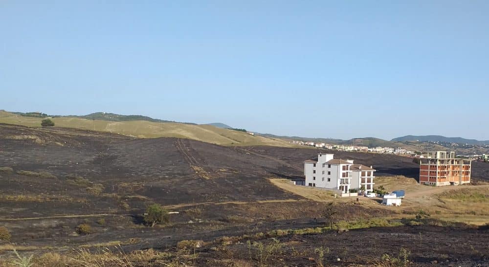 Seferihisar'da Yangın Korkuttu 1 20200606 200558 scaled e1591463232447