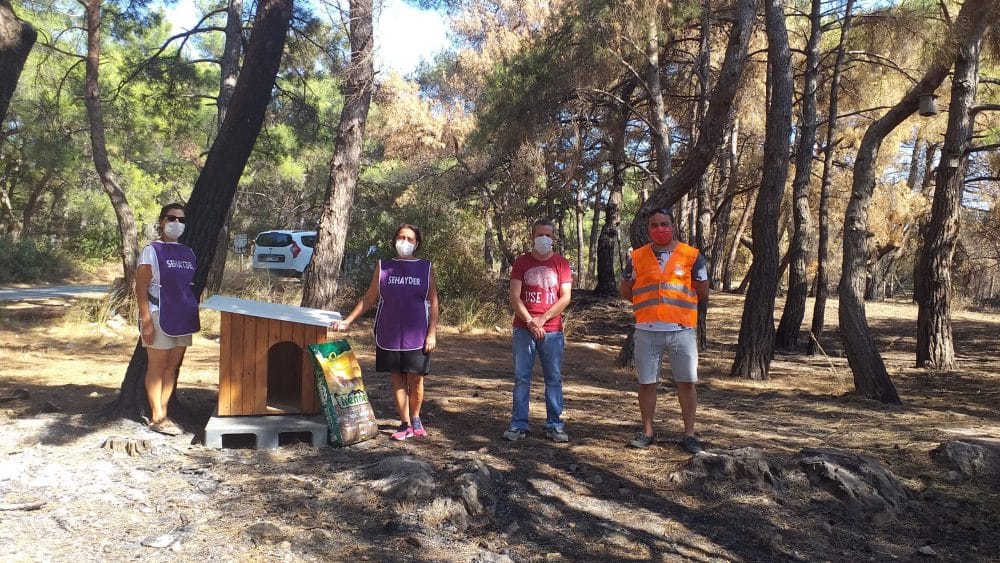 Sehayder'den Çamlık Teos Park'a Yeni Kulübe 1 20200802 165343 scaled e1596420182174