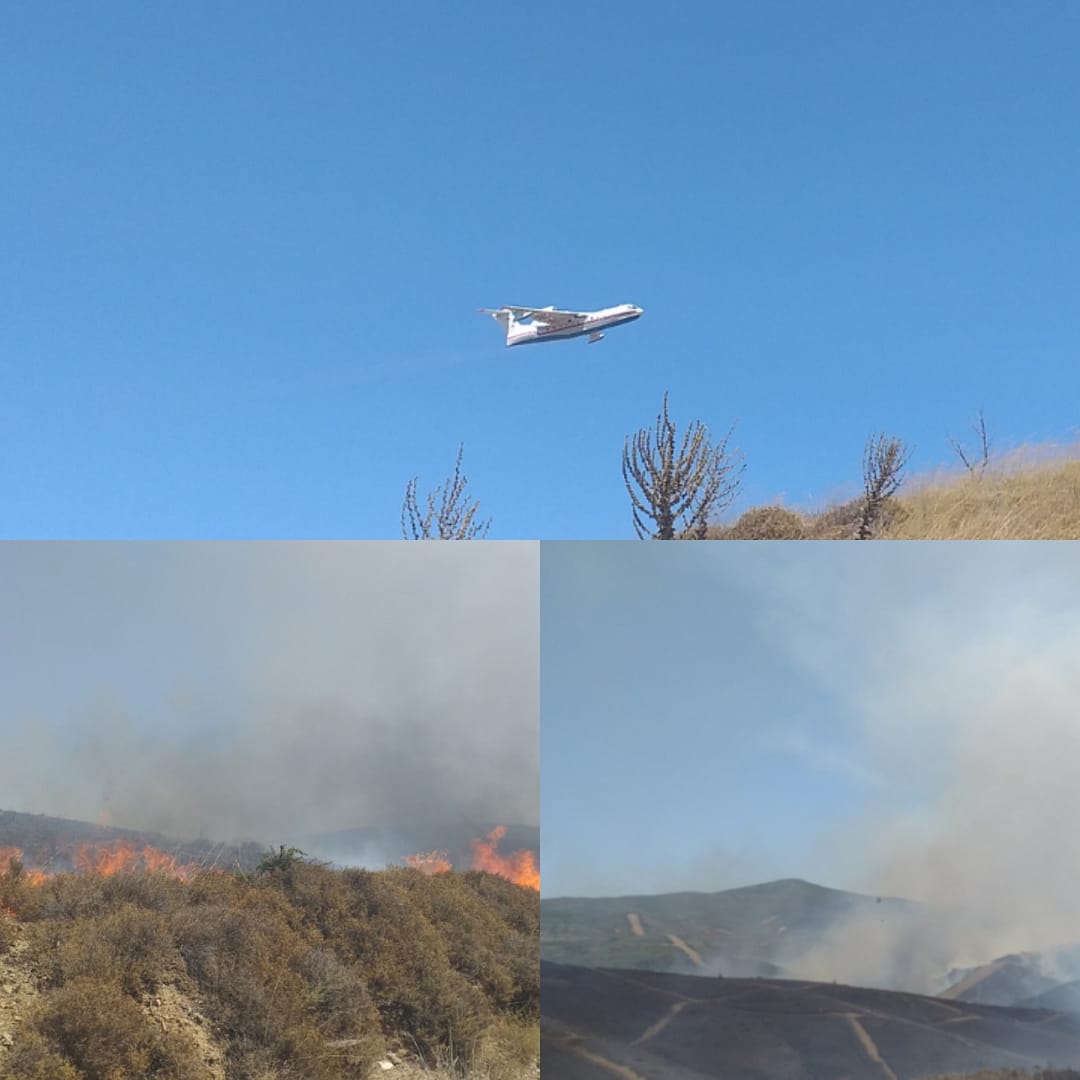 Seferihisar'da Yangın! 2009'u Hatırlattı 1 IMG 20200731 175926