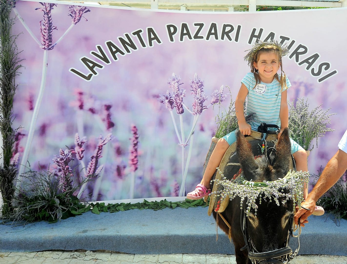 Seferihisar'da lavanta hasadı başlıyor 3 1000135238