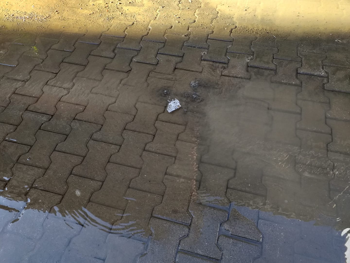 İzsu Neyi bekliyorsun? 2 20190422 174155