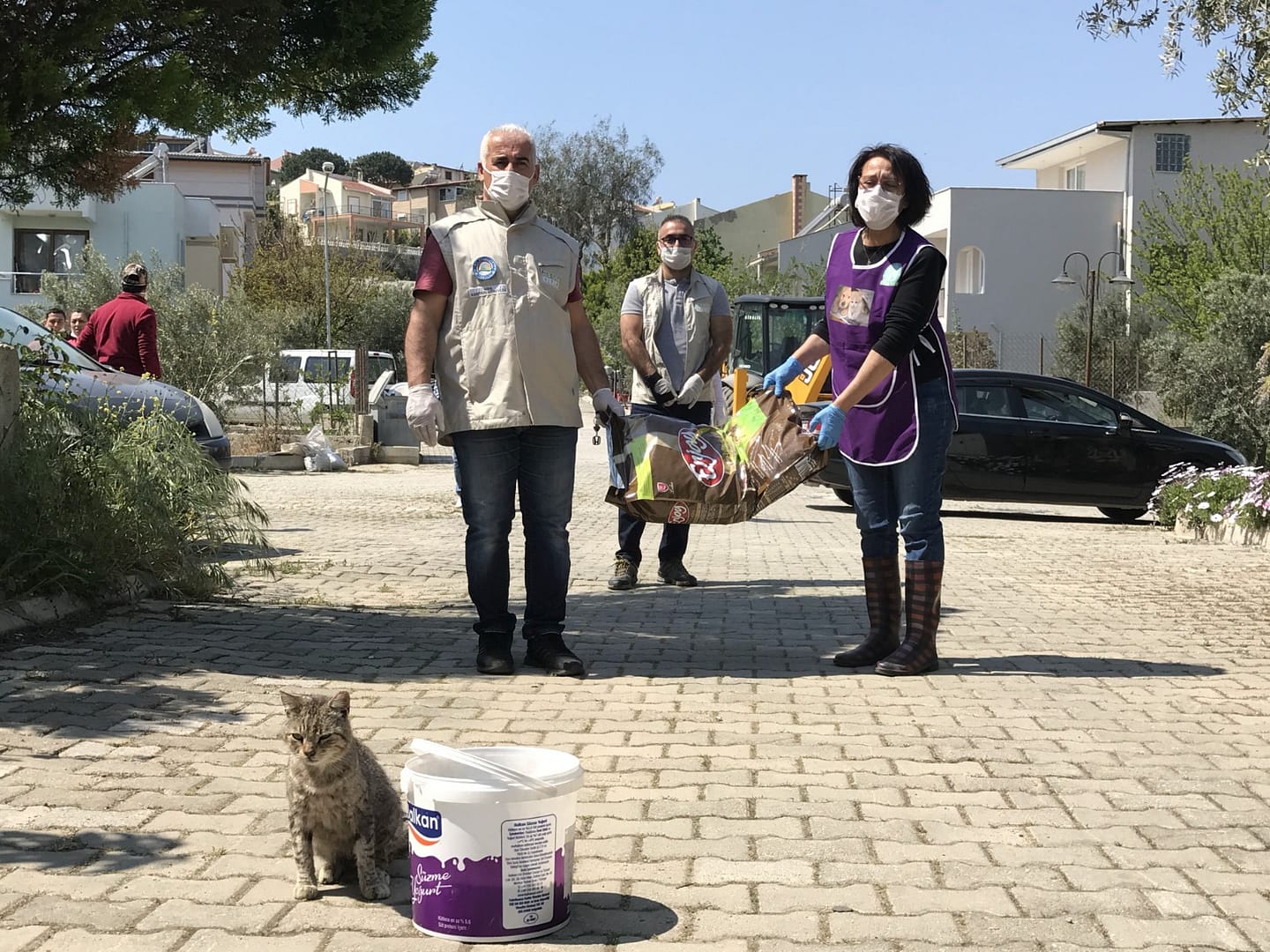 Seferihisar'da Sokak Hayvanları Güvende 1 IMG 20200412 WA0038