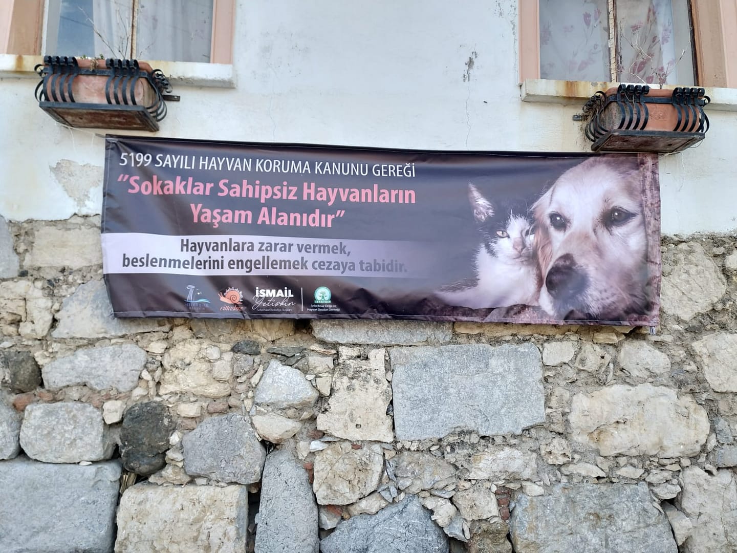 Seferihisar'da Sokak Hayvanlarına Afişlerle Destek 1 IMG 20210319 WA0010