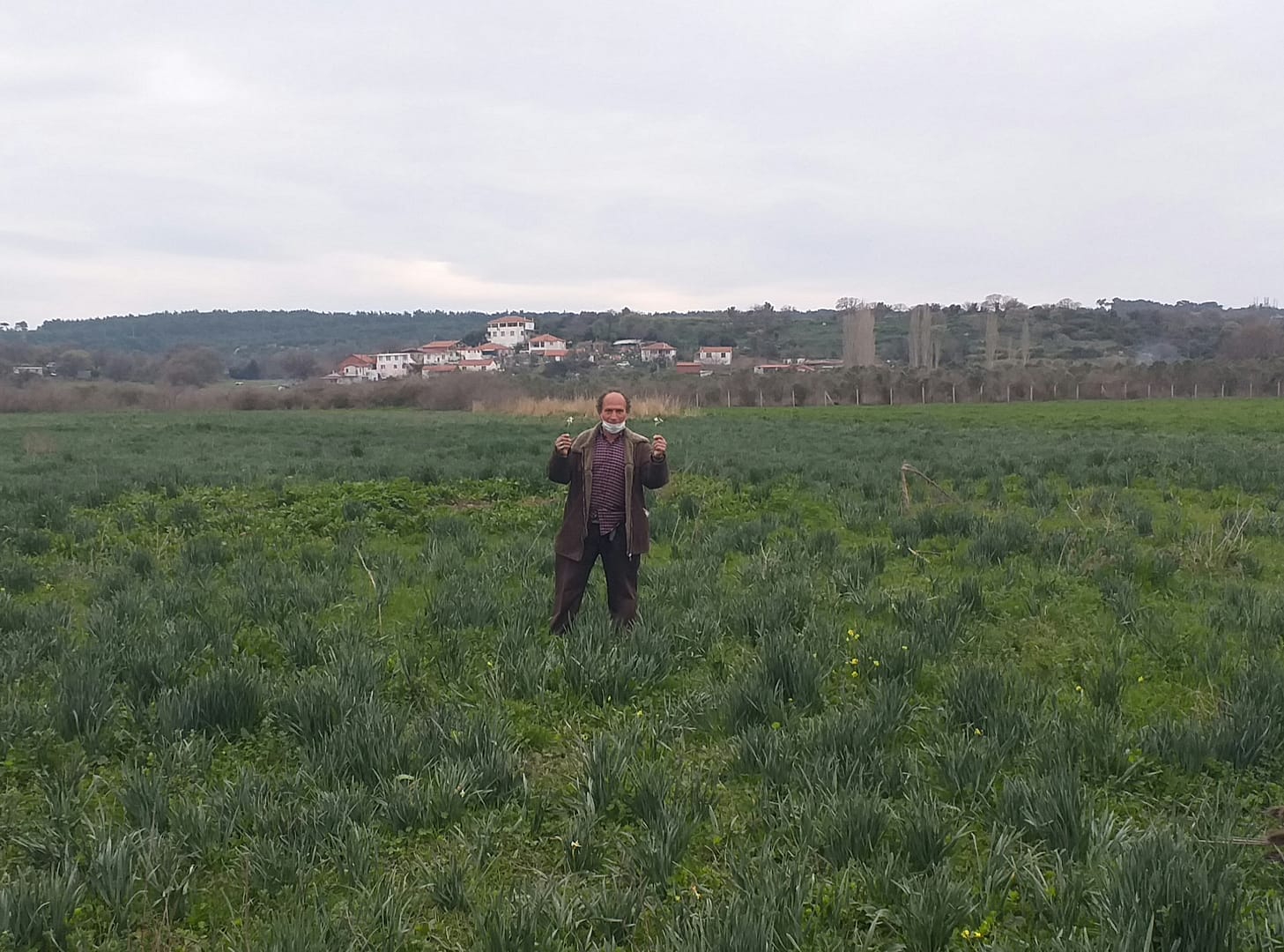 Sığacık'ın Mis Kokulu Nergisi 2 20210213 193910