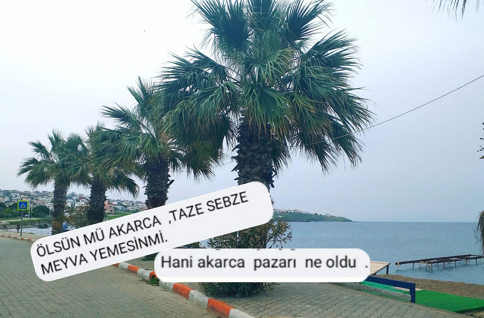 Akarca'dan Pazar Tepkisi 1 PicsArt 05 07 11.02.03 scaled