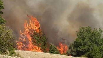 Yangınların Faili Hain Pkk Çıktı 1 5f81e1bd5542821414609ace