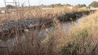 Akarca Halkından Arıtma İsyanı: "Denizimiz Kirleniyor" 2 3