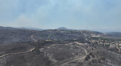 Seferihisar'da yangının bilançosu ağır 1 IMG 20250702 WA0027