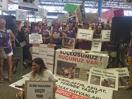 Seferihisar’da Hayvanseverlerden 'Yasayı Geri Çek' Eylemi 2 WhatsApp Image 2024 07 16 at 15.08.28