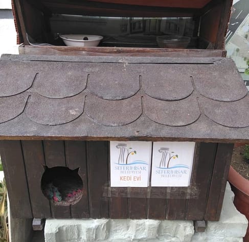 Tekmelenen Kedi Evi Artık Belediye Korumasında 1 WhatsApp Image 2024 04 17 at 17.16.15