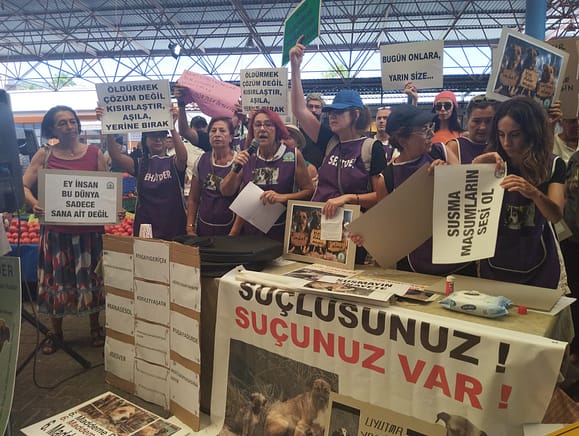 Seferihisar’da Hayvanseverlerden 'Yasayı Geri Çek' Eylemi 1 WhatsApp Image 2024 07 16 at 15.06.52