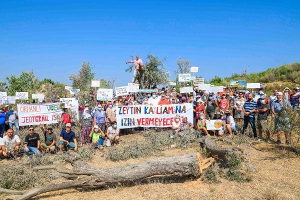 Orhanlı Köyünde Jes Mücadelesi Sürüyor 1 seferihisar da koylulerden jes icin agac kesi 12 14265283 o