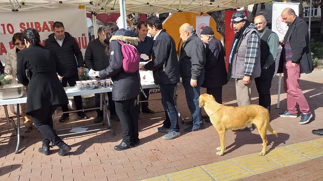 İlçe Tarım Müdürlüğünden Bakliyata Teşvik 2 20200212 124033 scaled