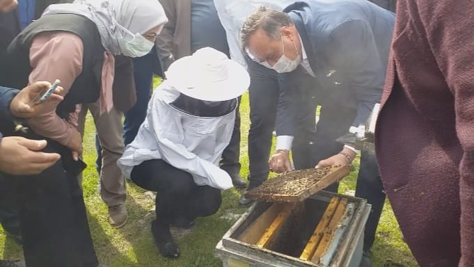 Kavakdere'de "Alım Balım Romanım" Projesinin Startı verildi. 2 73b36ac8 55a4 464e 964d 38390f9bbe77