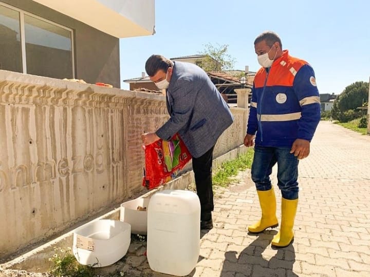 Seferihisar'daki Sokak Hayvanları Çok Şanslı 1 20200410 195851