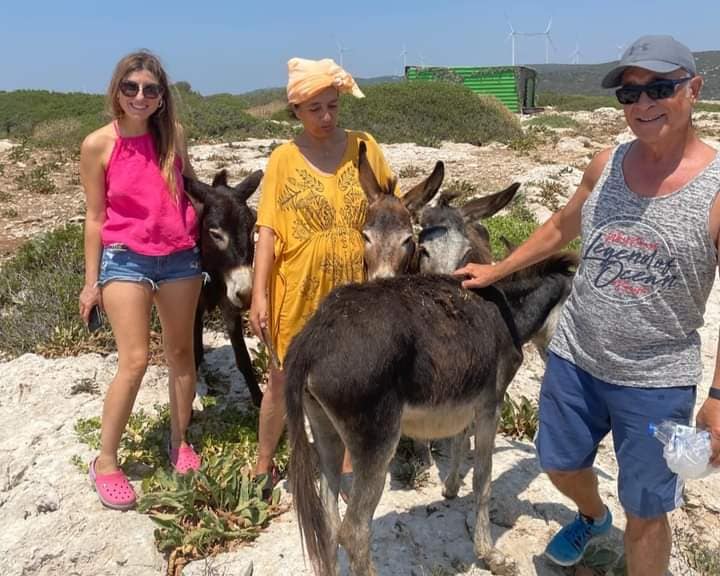 Seferihisar Kent Konseyi’nden Eşek Adası’na ziyaret: Eşekler susuzluktan kıvranıyor 1 1000137124
