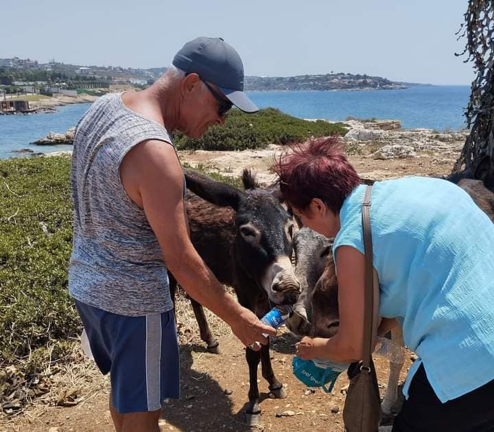 Seferihisar Kent Konseyi’nden Eşek Adası’na ziyaret: Eşekler susuzluktan kıvranıyor 2 1000137125