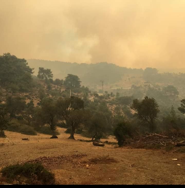 İzmir yanıyor, Seferihisar yanıyor, Beyler tehdit altında 2 20190819 151936