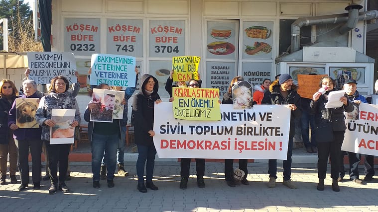 Hayvan Dostları Seferihisar Belediyesi Önünde Hayvan Hakları için toplandı 1 20200103 150621 scaled