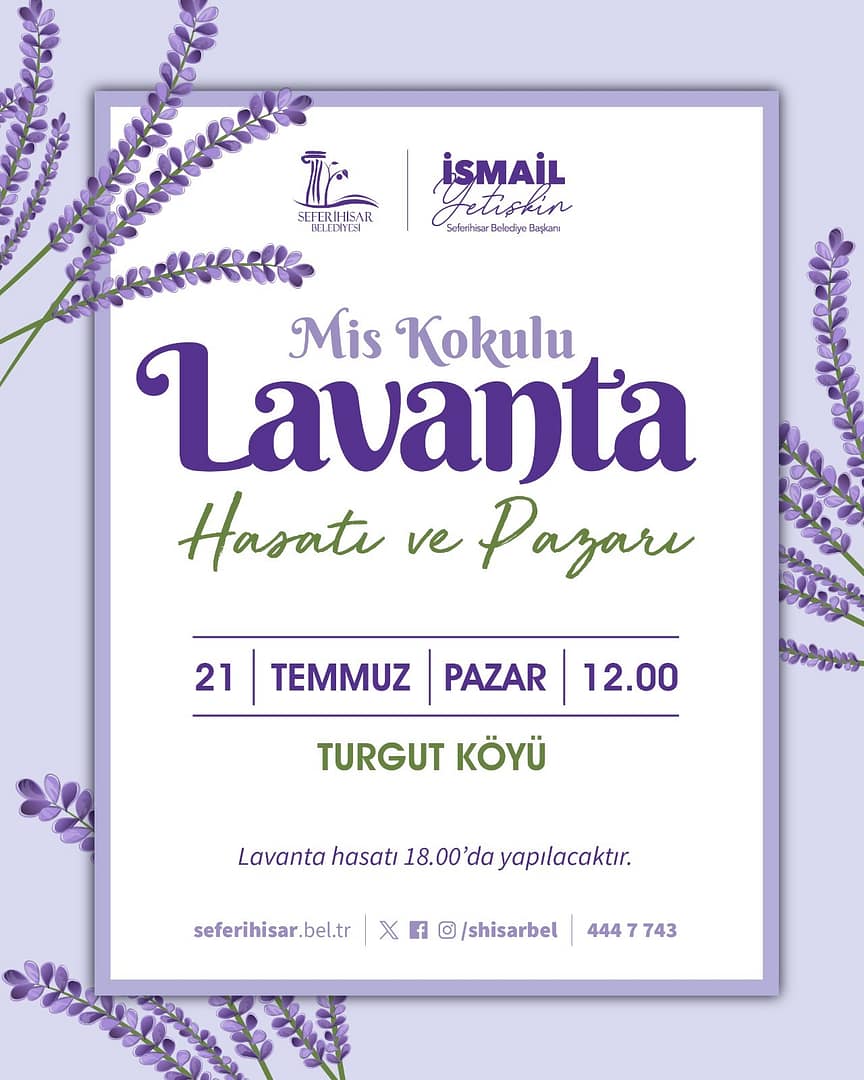 Seferihisar'da lavanta hasadı başlıyor 1 1000135232