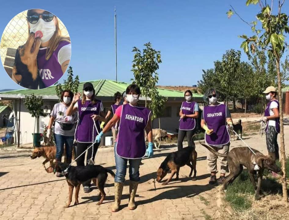 Sehayder Barınaķtaki Patileri Gezmeye Çıkarttı 1 PicsArt 10 04 04.38.36