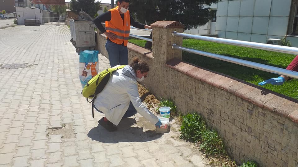 Sokak Hayvanları Bu Hafta da Unutulmadı 1 93775116 251004772671853 2511733540836605952 n